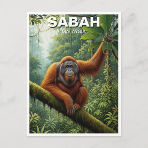 Postal Sabah Malaysia Orangutan Travel
