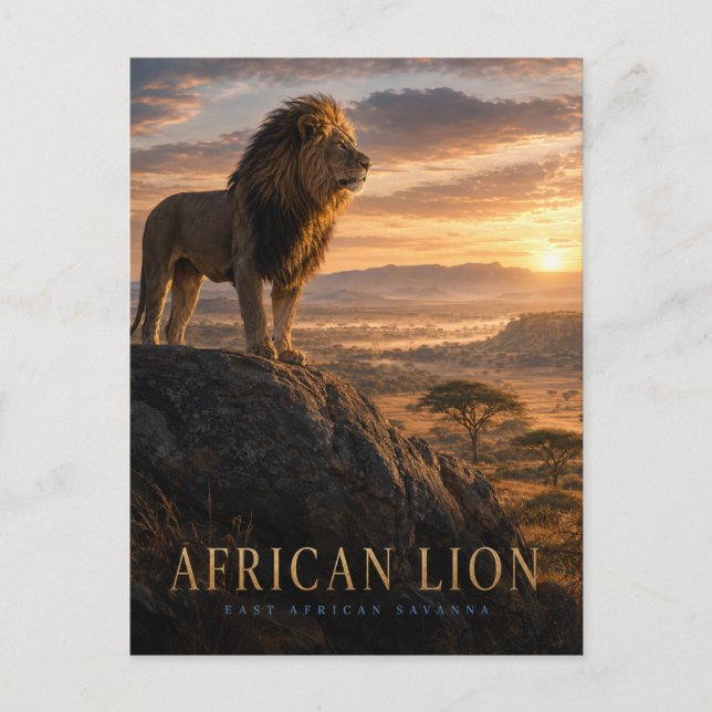 Postal Sabana de león africano ANIMALES (Anverso)