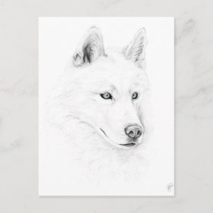 Postal Saber un Husky Siberiano Dibujando Ojos Azules