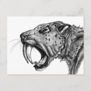Postal sabertoothPENCIL