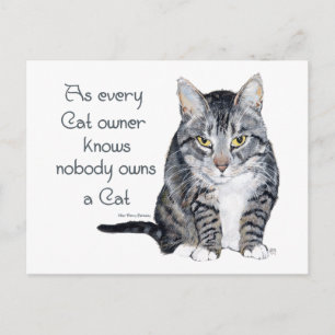 Postal Sabiduría de Gatos - como sabe todo dueño de gatos