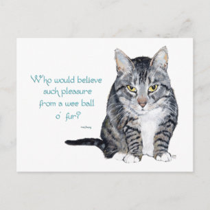 Postal Sabiduría de Gatos - ¿Quién lo creería?