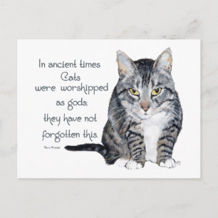 Postal Sabiduría de los Gatos - en la antigüedad, los Gat