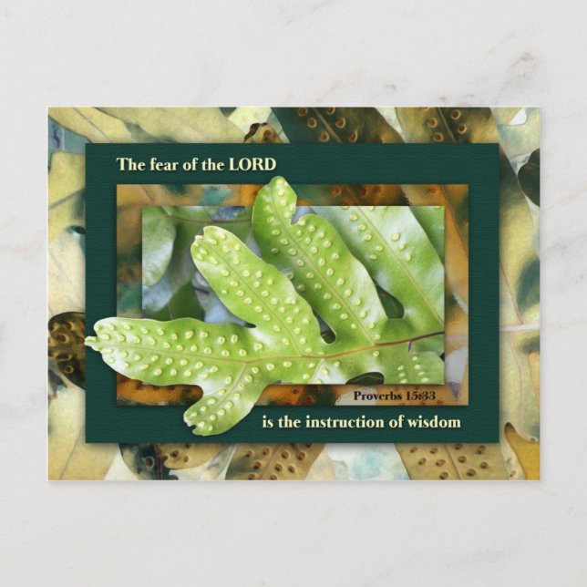 Postal Sabiduría del Señor (Anverso)