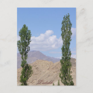 Postal Saboo Ayu. Ladakh, la India