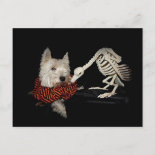 Postal Sabores como pollo, buitre y westie