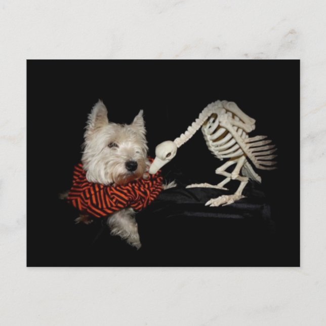 Postal Sabores como pollo, buitre y westie (Anverso)