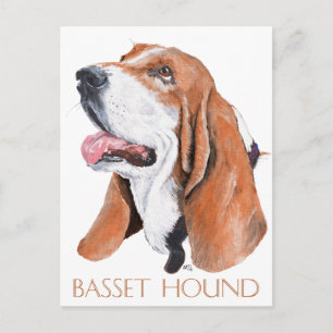 Postal Sabueso Basset