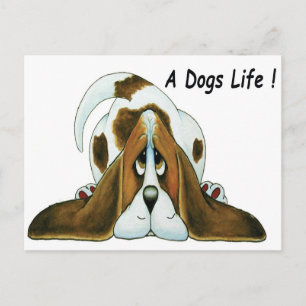 Postal Sabueso de dibujos animados, la vida de un perro
