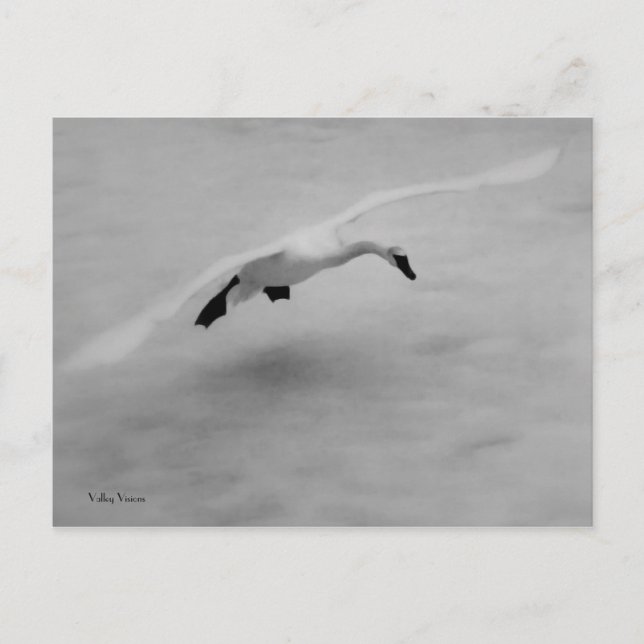 Postal Sacar (Anverso)