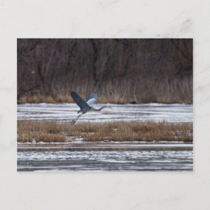 Postal Sacar Heron
