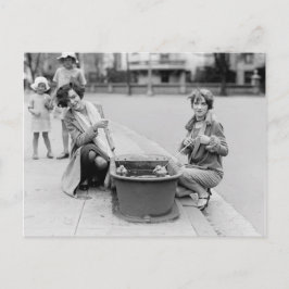 Postal Sacar Los Patos Para Nadar