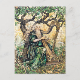 Postal Sacerdote drítico celta sabio de la naturaleza