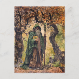 Postal Sacerdote drítico celta sabio de la naturaleza