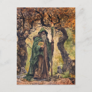 Postal Sacerdote drítico celta sabio de la naturaleza