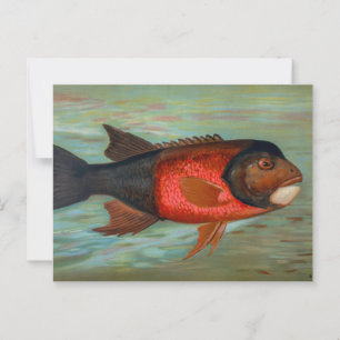 Postal Sacramento Pike por John L Petrie