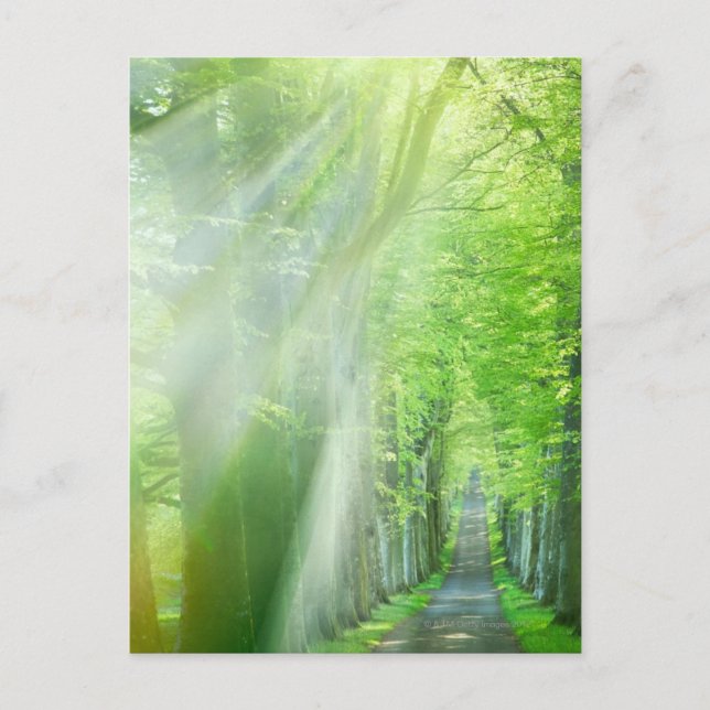 Postal Sacudones de luz solar (Anverso)