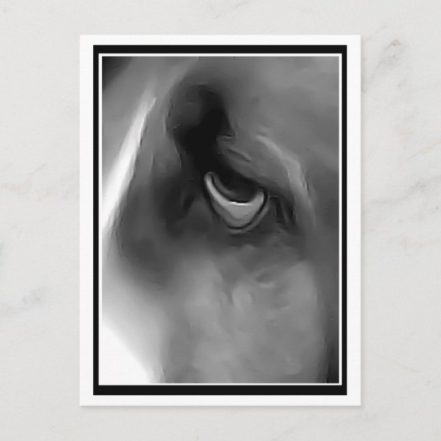 Postal Sad Eyed Hound (Anverso)