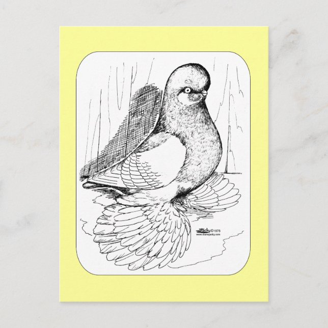 Postal Saddle de Tumbler espumoso 1978 (Anverso)