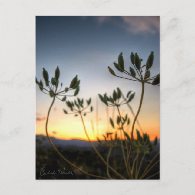 Postal Saddle Rock Sunset (Anverso)