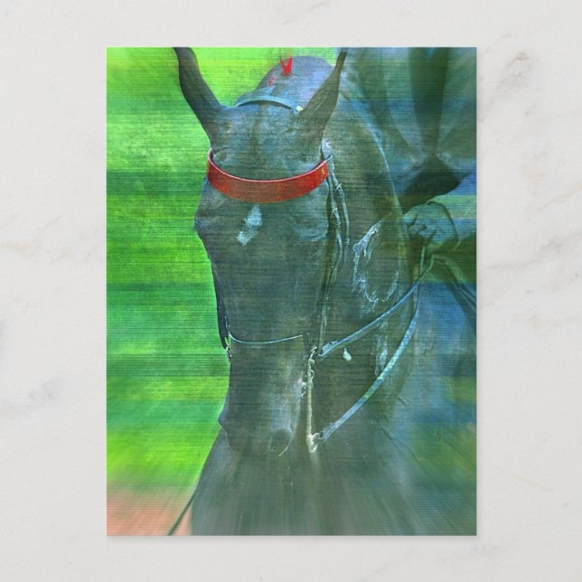 Postal Saddlebred estadounidense (Anverso)