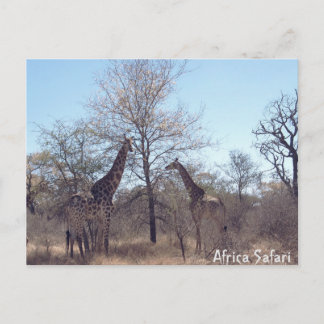 Postal Safari de África