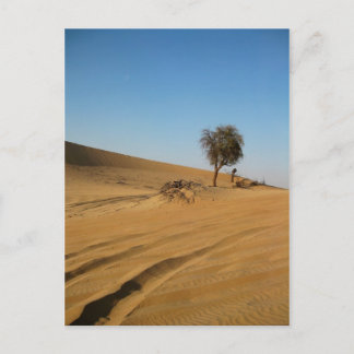 Postal Safari del desierto Abu Dhabi