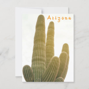 Postal Saguaro
