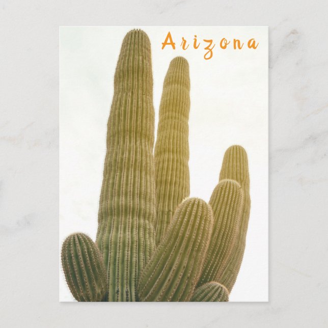 Postal Saguaro (Anverso)