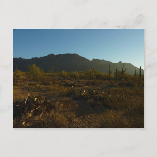 Postal Saguaro Amanecer en el Parque Nacional Saguaro