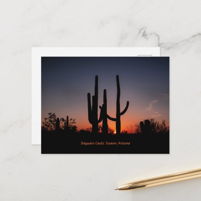 Postal Saguaro Cacti al atardecer (Anverso/Reverso In Situ)