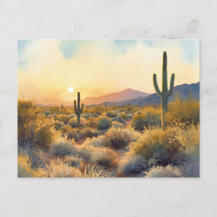 Postal Saguaro Cactus Desert Sunset
