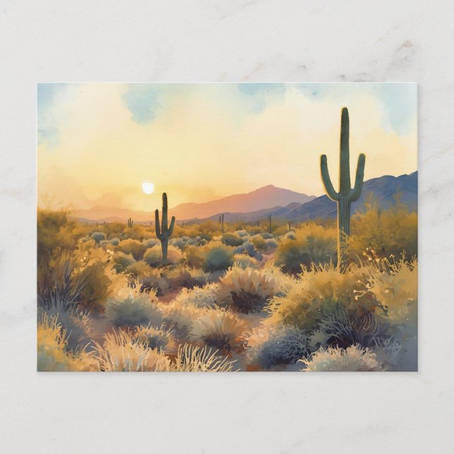 Postal Saguaro Cactus Desert Sunset (Anverso)