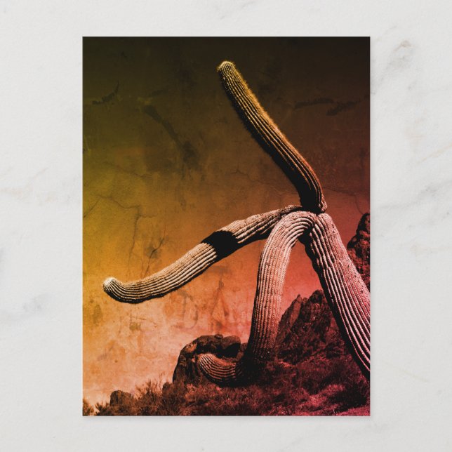 Postal Saguaro Cactus: Fotografía de arte en estilo rústi (Anverso)
