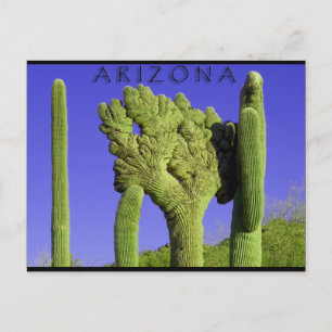 Postal Saguaro detenido en el Congreso de Arizona