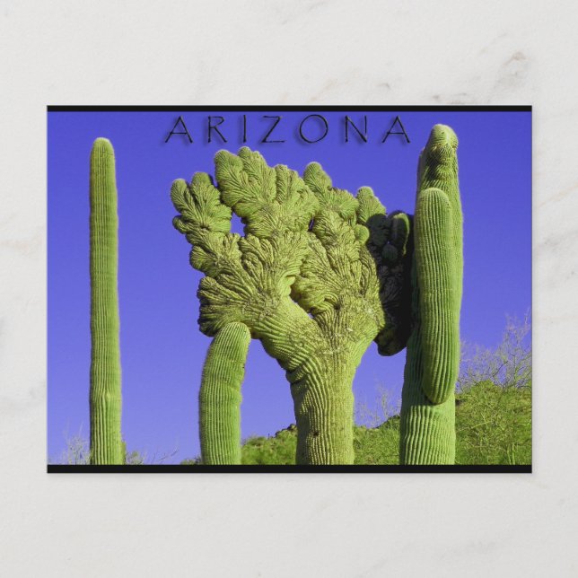 Postal Saguaro detenido en el Congreso de Arizona (Anverso)