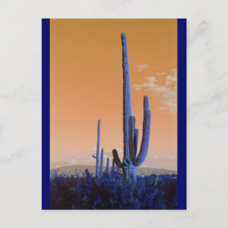 Postal Saguaro en azul