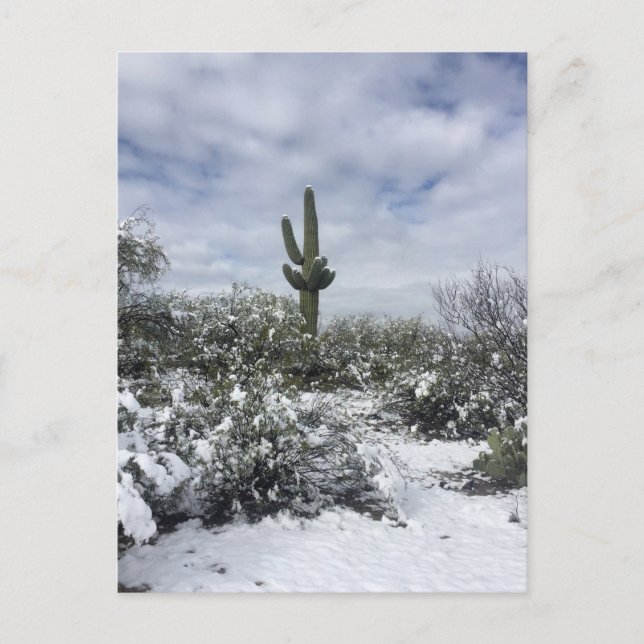Postal Saguaro en la nieve (Anverso)
