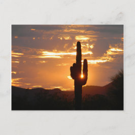 Postal Saguaro Rays