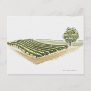 Postal Saint-Emilion, Francia