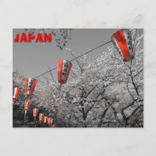 Postal Sakura 2014