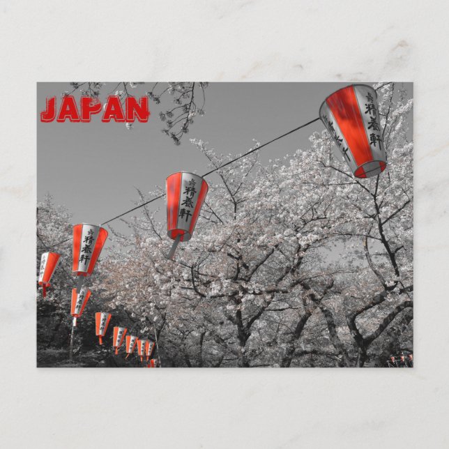 Postal Sakura 2014 (Anverso)