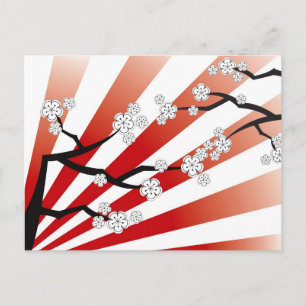 Postal Sakura Amanecer Blanco Flores de Cerezo Zen