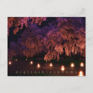 Postal Sakura (Noche)