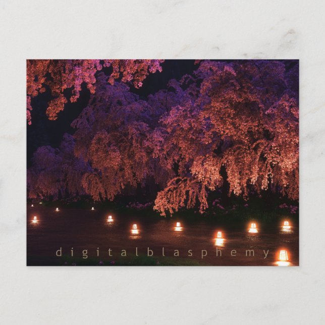 Postal Sakura (Noche) (Anverso)