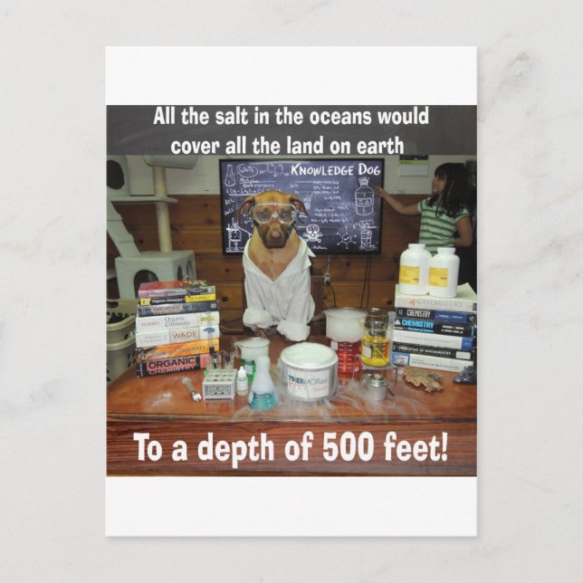 Postal Sal de perro con conocimiento en los océanos (Anverso)