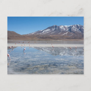 POSTAL SALAR DE UYUNI SALT FLAT, BOLIVIA