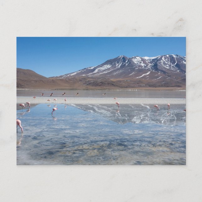 POSTAL SALAR DE UYUNI SALT FLAT, BOLIVIA (Anverso)