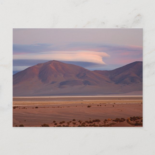 Postal Salar del Huasco, Chile (Anverso)