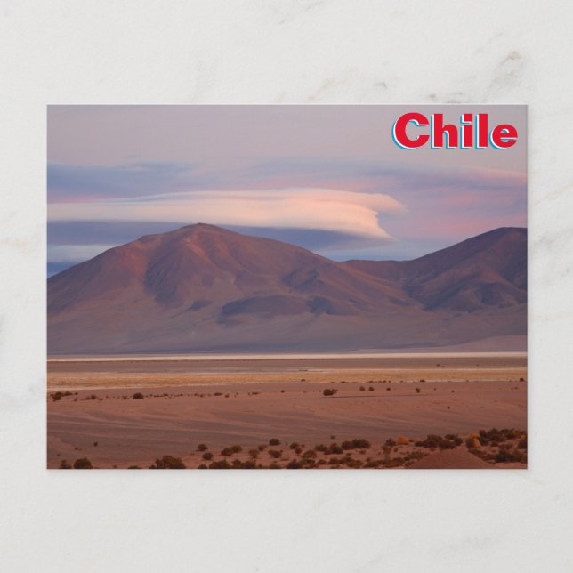 Postal Salar del Huasco, Chile (Anverso)